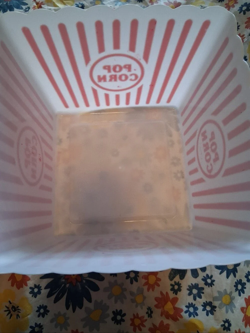 Classic Red & White Large Hard Plastic Popcorn Containers - 2-Pack